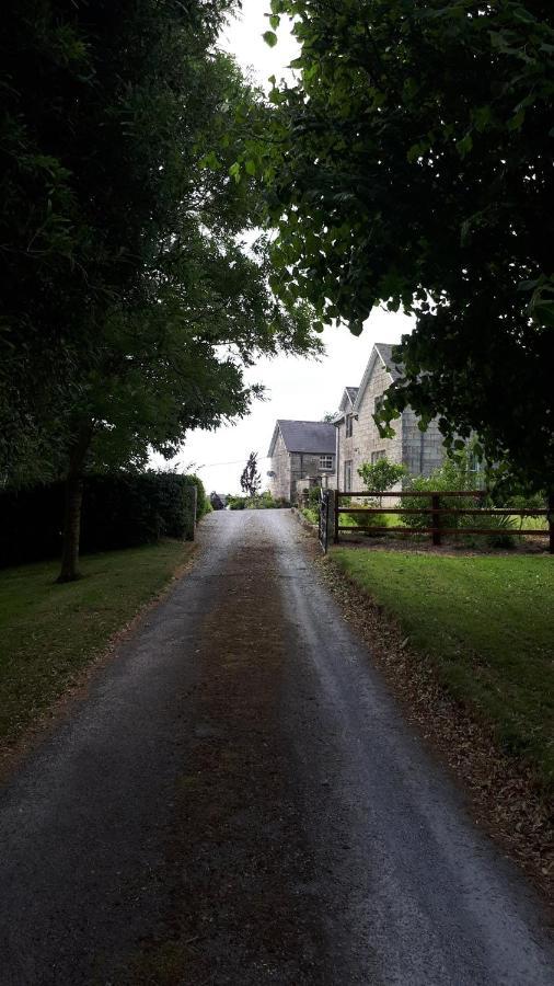 Lorum Old Rectory Bagenalstown Exterior foto