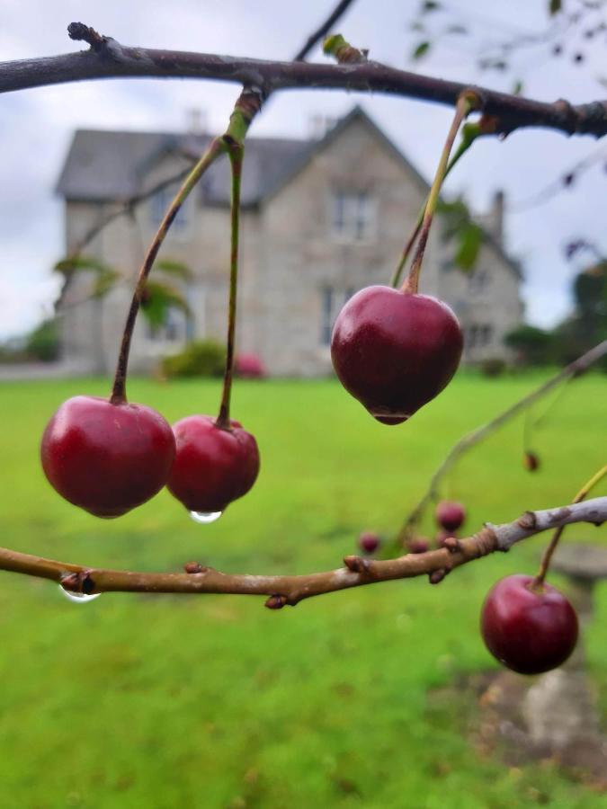 Lorum Old Rectory Bagenalstown Exterior foto